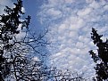 Picture Title - Cloud&Tree