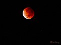 Picture Title - Lunar Eclipse 2008