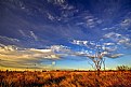 Picture Title - Basking in sunlight