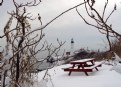 Picture Title - Winter Picnic, Anyone?