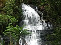 Picture Title - TRIPLET FALLS Victoria