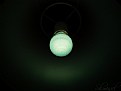 Picture Title - bulb