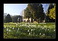 Picture Title - Bolam Church