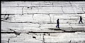 Picture Title - walking in the cracked ground