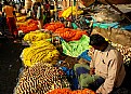 Picture Title - Flower seller-2