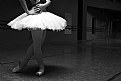 Picture Title - TUTU 5