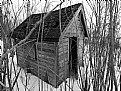 Picture Title - Old Shed