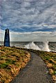 Picture Title - Samphire Hoe