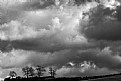 Picture Title - alberi e nuvole #7