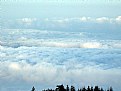 Picture Title - cloud cuckoo land