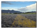 Picture Title - ruta