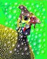 Picture Title - A funky chicken