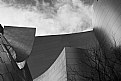 Picture Title - Disney Concert Hall