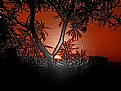 Picture Title - The sunset 3