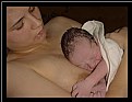 Picture Title - Just Born 