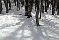 Picture Title - from the snow