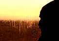 Picture Title - In the path 1
