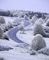 Picture Title - winding road (infrared)