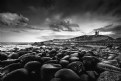 Picture Title - Dunstanburgh Mono