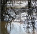 Picture Title - flood waters