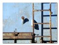 Picture Title - stairs
