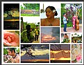 Picture Title - Hawaiian Collage
