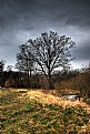 Picture Title - Colours of spring
