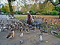 Picture Title - Old lady and the Birds