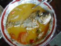 Picture Title - Fish Soup