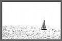Picture Title - lonely sailing...