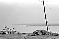 Picture Title - Beside Ganga River