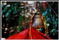Picture Title - The Bell