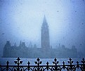 Picture Title - Parliamentary Snowday