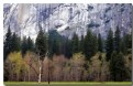 Picture Title - Yosemite