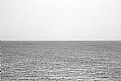 Picture Title - salt lake