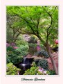 Picture Title - Descanso Gardens