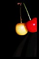 Picture Title - cherry pendulum