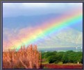 Picture Title - Hawaiian  Rainbow