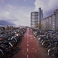 Picture Title - Amsterdam