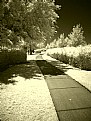 Picture Title - ir walk
