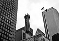 Picture Title - downtown l.a.