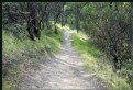 Picture Title - Redbud Trail