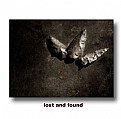 Picture Title - lost and found