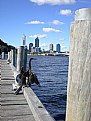 Picture Title - On the Swan River