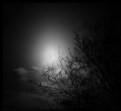 Picture Title - Moon - Holga