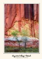 Picture Title - Capitol Reef Trees