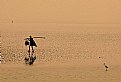 Picture Title - The Fisherman and The Bird