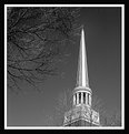 Picture Title - Tree and Steeple