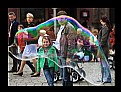 Picture Title - Watching a big bubble