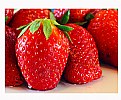Picture Title - Strawberry Time